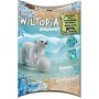 Pui de urs polar